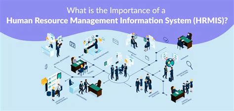 hrmis dict|Understanding Human Resource Management Information .